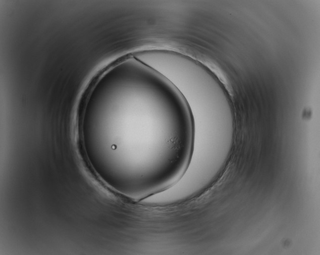 X0000103501080200809121733