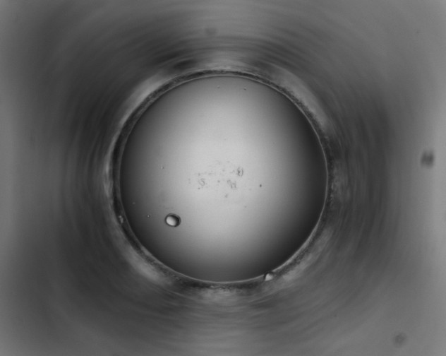 X0000103501082200809121733