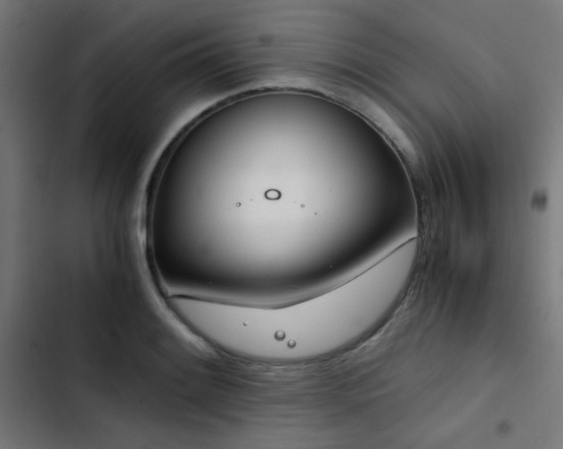 X0000103501084200809121733