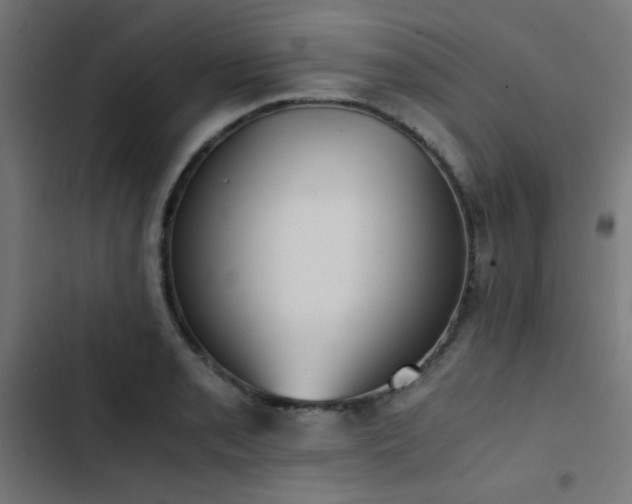 X0000103501085200809121733