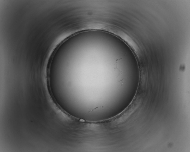 X0000103501088200809121733