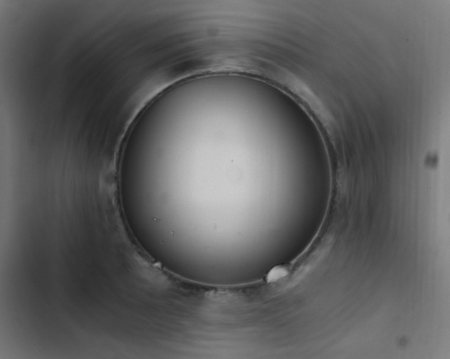 X0000103501089200809121733