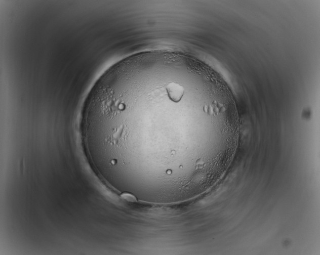 X0000103501091200809121733