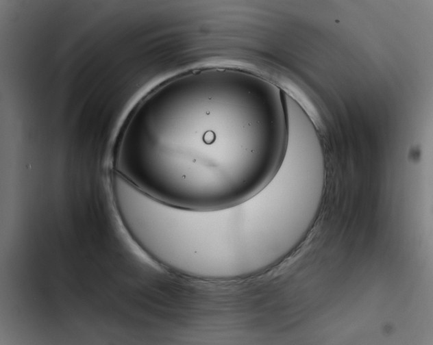 X0000103501092200809121733