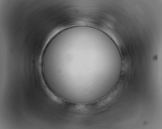 X0000103501098200809121733