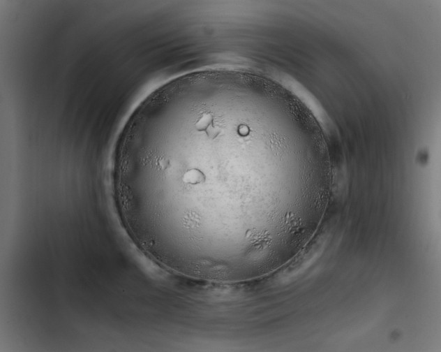 X0000103501099200809121733