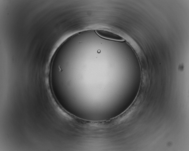 X0000103501102200809121733