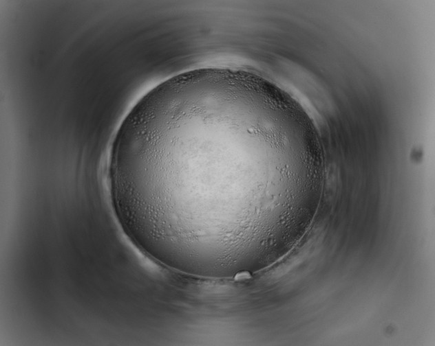 X0000103501103200809121733