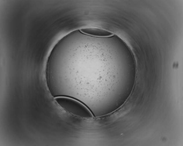 X0000103501104200809121733