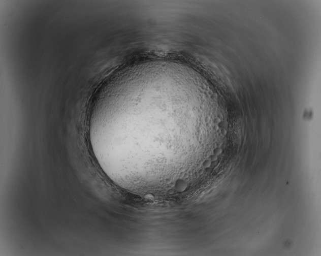 X0000103501105200809121732