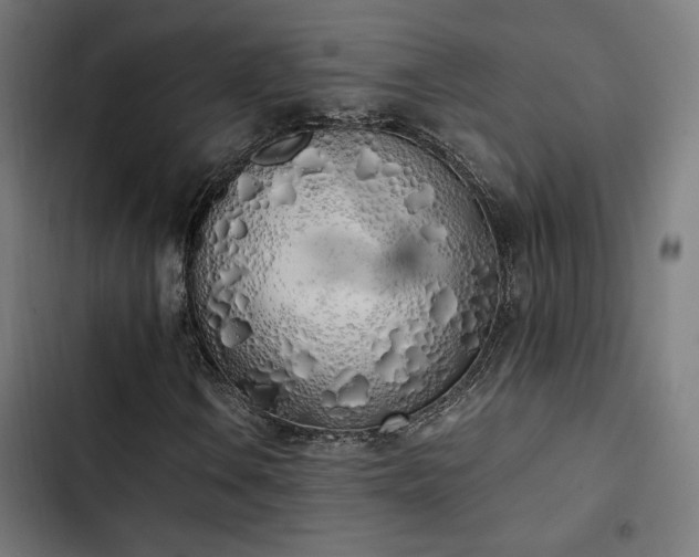 X0000103501106200809121732