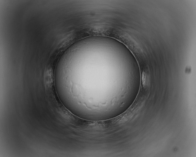 X0000103501107200809121732