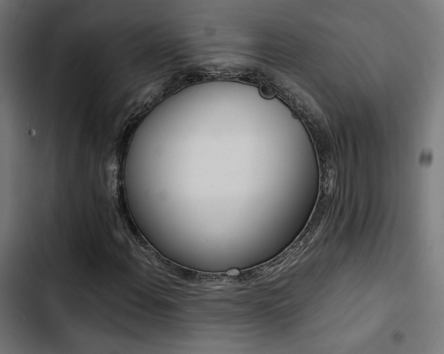 X0000103501108200809121732