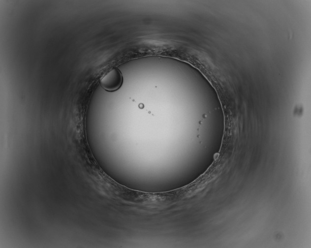 X0000103501109200809121732