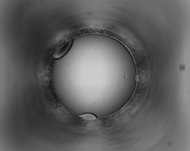 X0000103501110200809121732