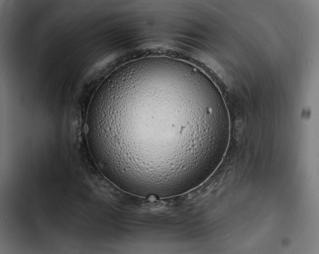 X0000103501111200809121732