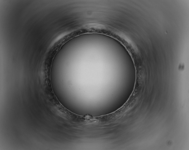 X0000103501112200809121732