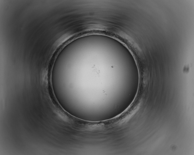 X0000103501113200809121732