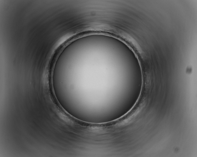 X0000103501114200809121732