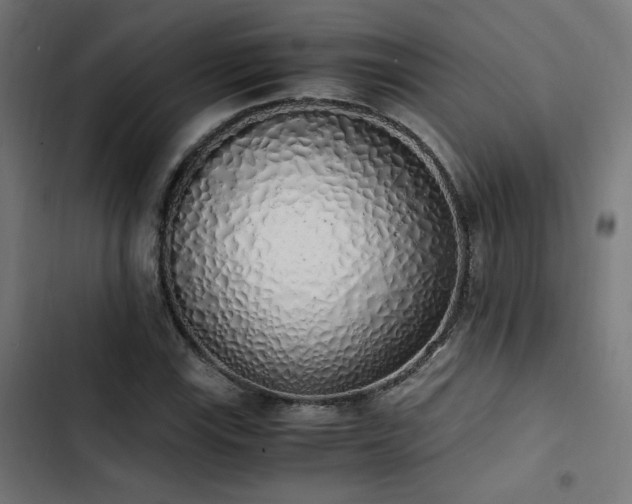 X0000103501115200809121732