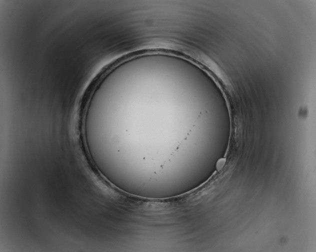 X0000103501116200809121732