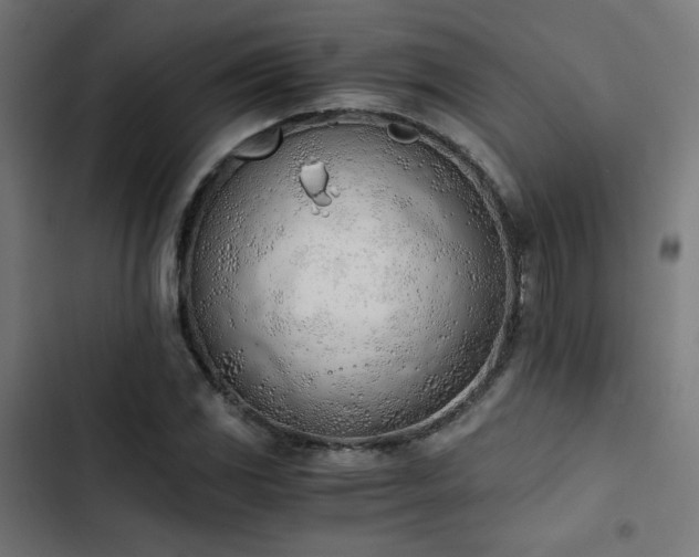 X0000103501117200809121732