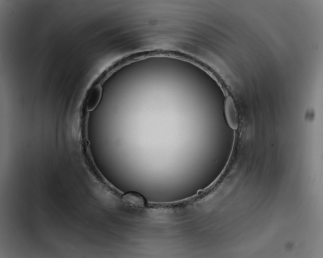 X0000103501118200809121732