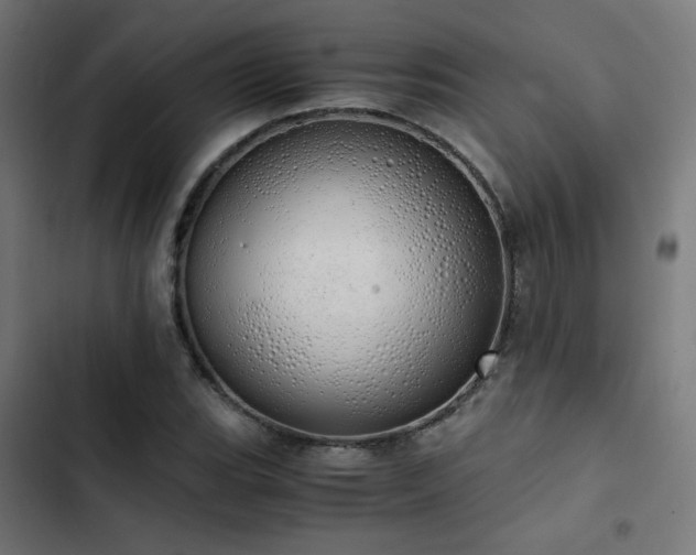 X0000103501119200809121732