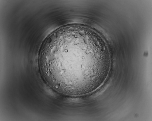 X0000103501121200809121732