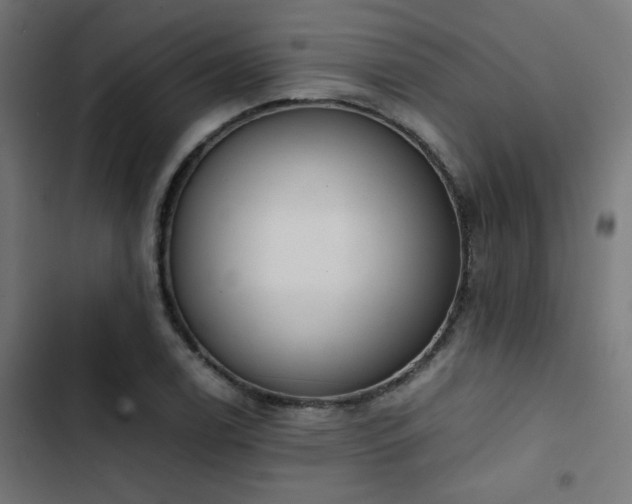 X0000103501122200809121732