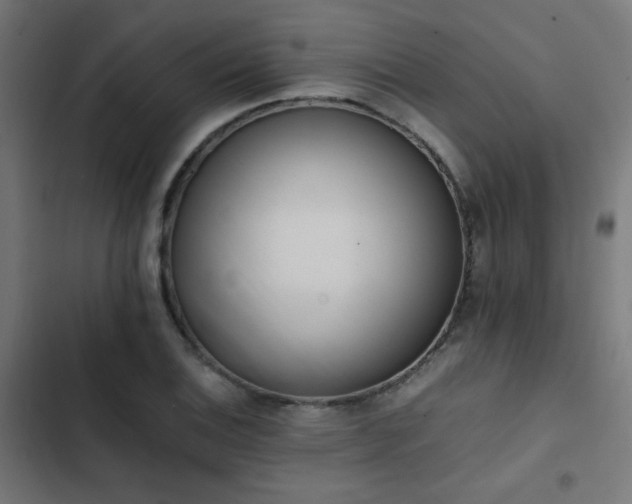 X0000103501124200809121732