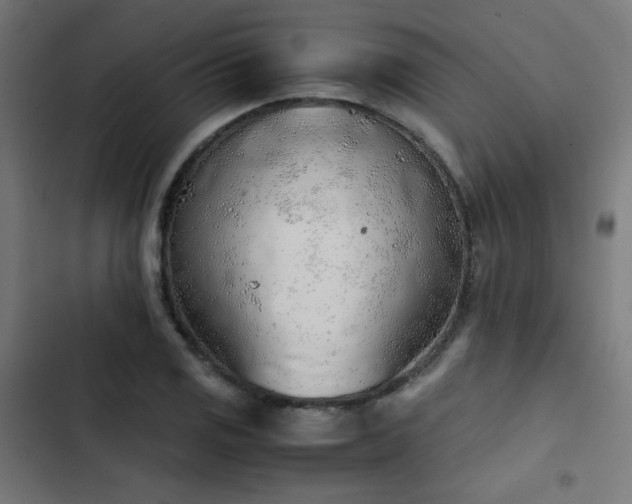 X0000103501125200809121732