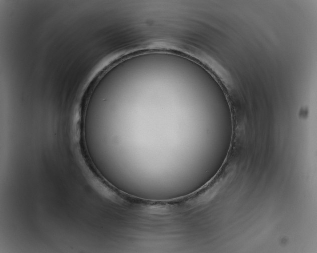 X0000103501126200809121732