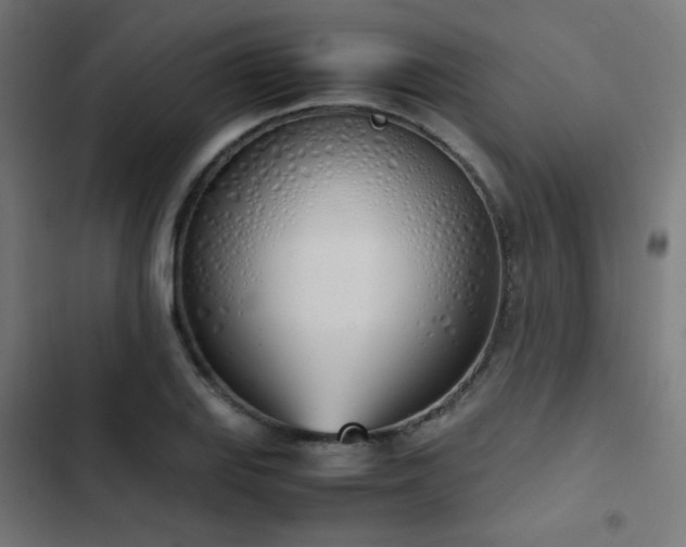 X0000103501127200809121732