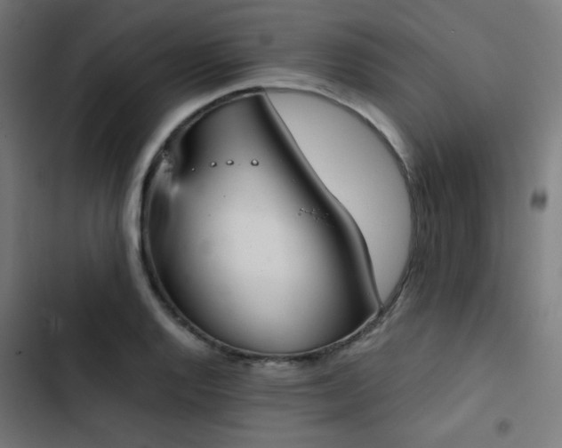 X0000103501128200809121732