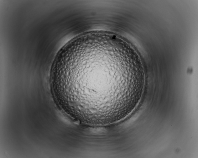 X0000103501129200809121732