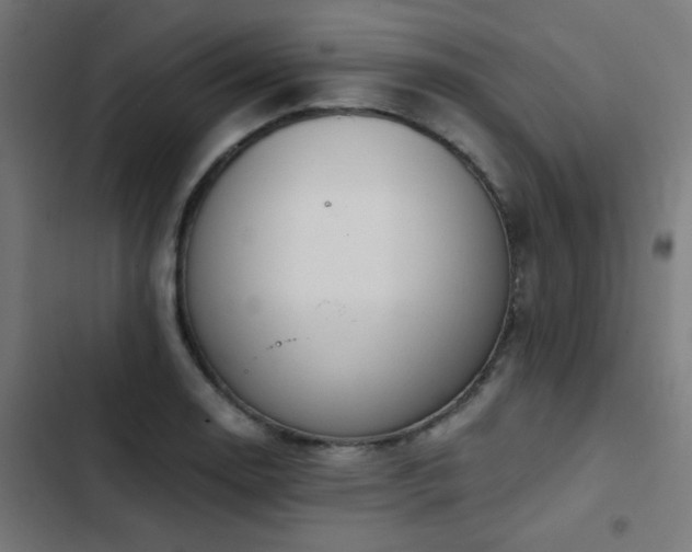 X0000103501130200809121732