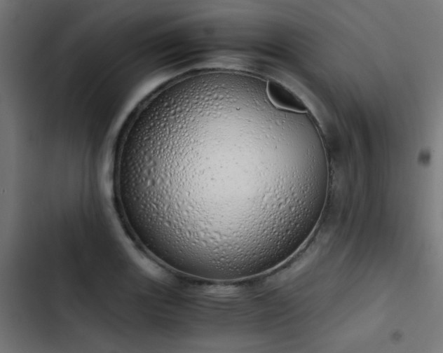 X0000103501131200809121732