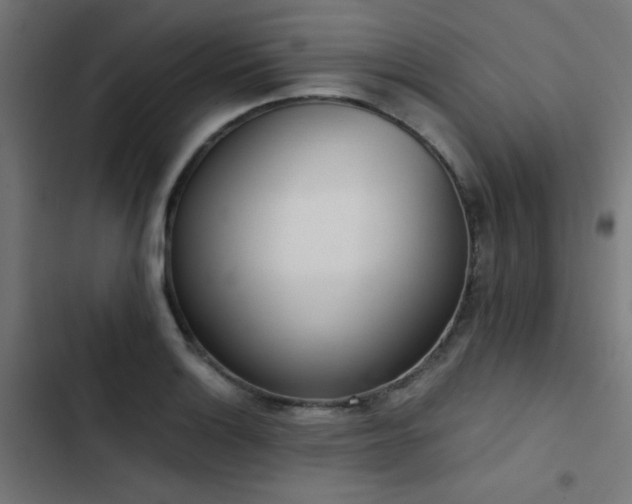 X0000103501132200809121732