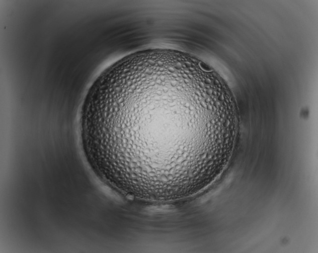 X0000103501133200809121732