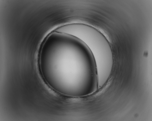 X0000103501134200809121732