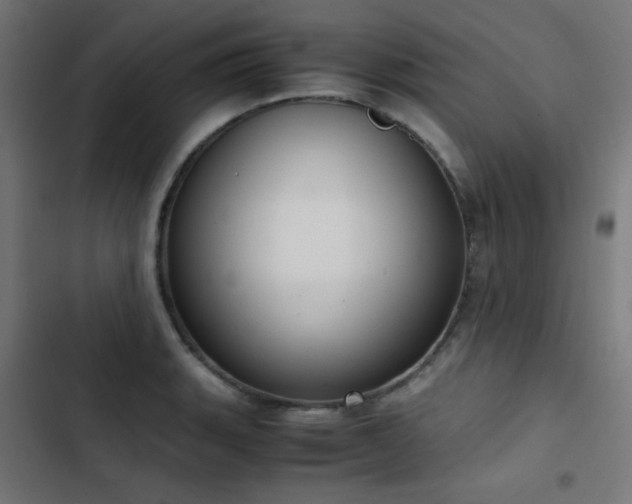 X0000103501135200809121732