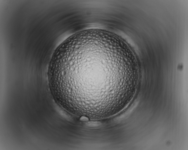 X0000103501137200809121732