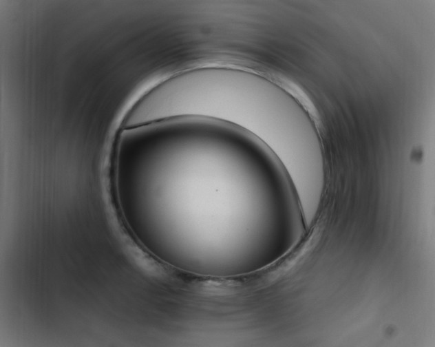 X0000103501138200809121732