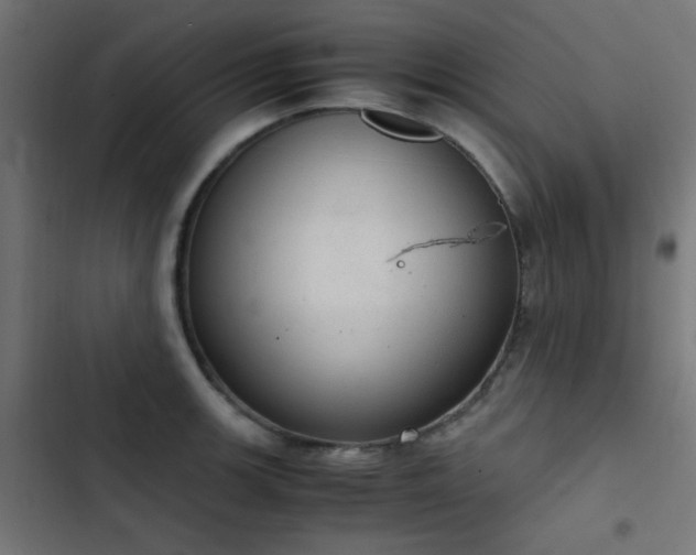 X0000103501139200809121732