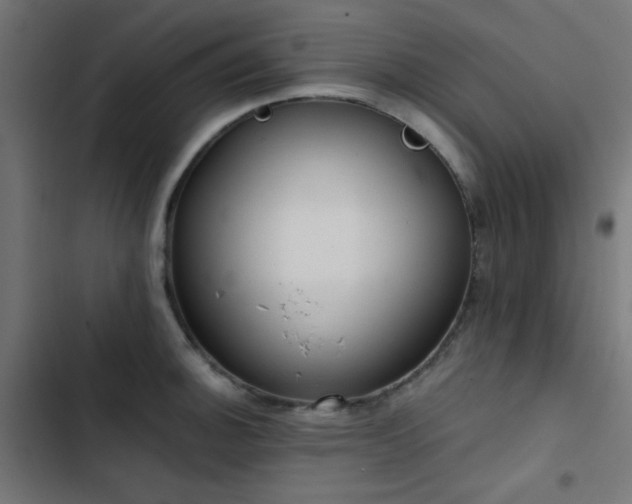 X0000103501140200809121732