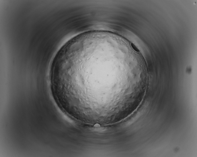 X0000103501141200809121732