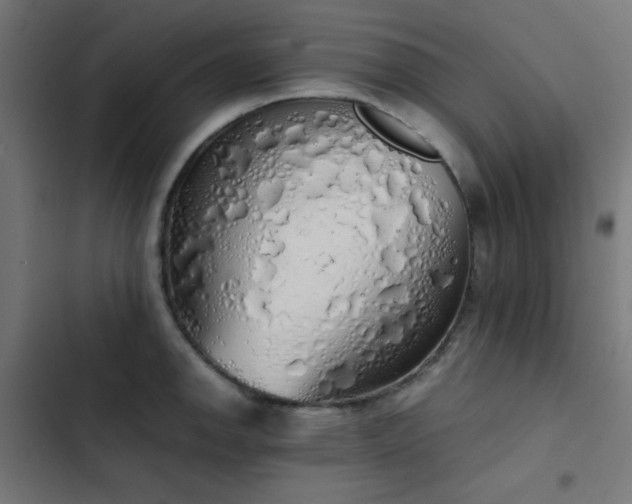 X0000103501142200809121732