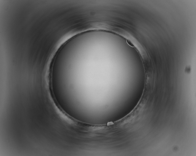 X0000103501143200809121732