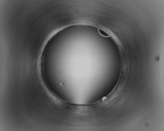 X0000103501144200809121732